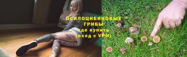 марки lsd Каменногорск