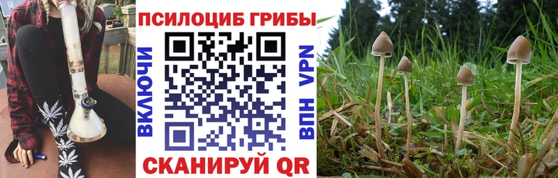 Псилоцибиновые грибы мухоморы  Купить закладки  Холм 